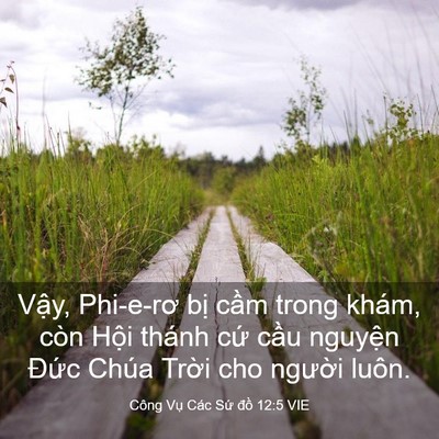 Picture 03 - Công Vụ Các Sứ đồ 12:5 VIE - Vậy, Phi-e-rơ bị cầm trong khám, còn - Bible Verse Picture