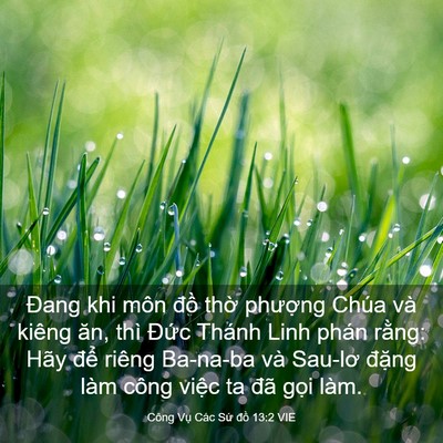 Picture 03 - Công Vụ Các Sứ đồ 13:2 VIE - Đang khi môn đồ thờ phượng Chúa và - Bible Verse Picture