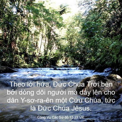 Picture 03 - Công Vụ Các Sứ đồ 13:23 VIE - Theo lời hứa, Đức Chúa Trời bèn bởi - Bible Verse Picture