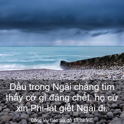 Picture 03 - Công Vụ Các Sứ đồ 13:28 VIE - Dầu trong Ngài chẳng tìm thấy cớ gì - Bible Verse Picture