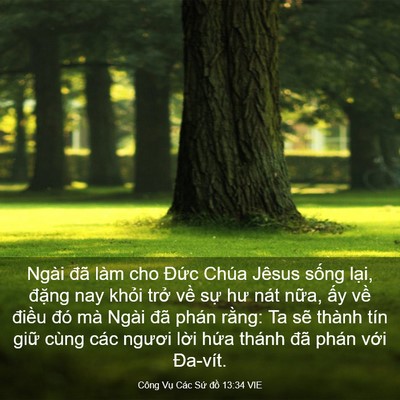 Picture 03 - Công Vụ Các Sứ đồ 13:34 VIE - Ngài đã làm cho Đức Chúa Jêsus sống - Bible Verse Picture
