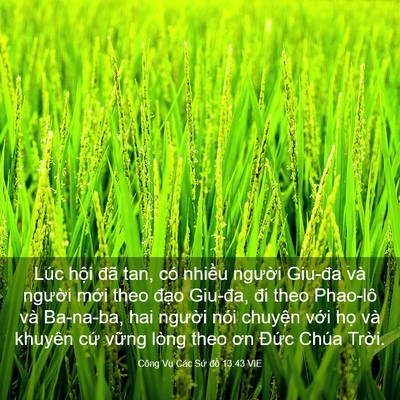 Picture 03 - Công Vụ Các Sứ đồ 13:43 VIE - Lúc hội đã tan, có nhiều người Giu-đa - Bible Verse Picture