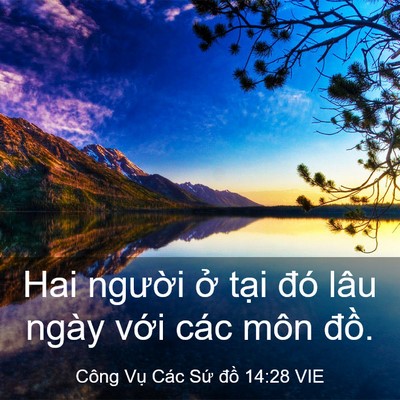 Picture 03 - Công Vụ Các Sứ đồ 14:28 VIE - Hai người ở tại đó lâu ngày với các - Bible Verse Picture