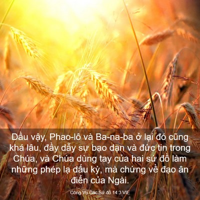 Picture 03 - Công Vụ Các Sứ đồ 14:3 VIE - Dầu vậy, Phao-lô và Ba-na-ba ở lại đó - Bible Verse Picture
