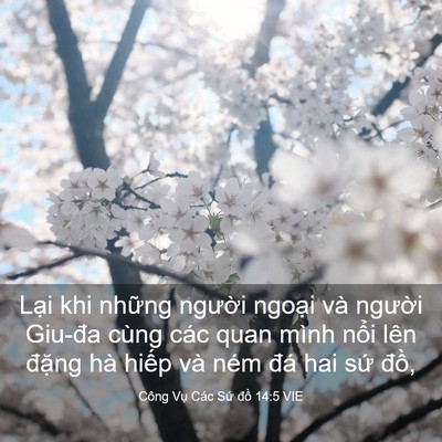 Picture 03 - Công Vụ Các Sứ đồ 14:5 VIE - Lại khi những người ngoại và người - Bible Verse Picture
