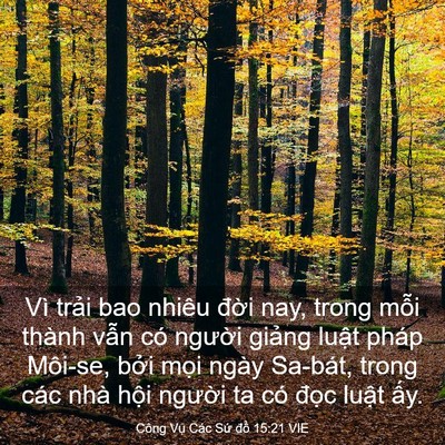 Picture 03 - Công Vụ Các Sứ đồ 15:21 VIE - Vì trải bao nhiêu đời nay, trong mỗi - Bible Verse Picture