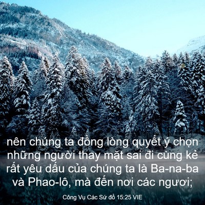 Picture 03 - Công Vụ Các Sứ đồ 15:25 VIE - nên chúng ta đồng lòng quyết ý chọn - Bible Verse Picture