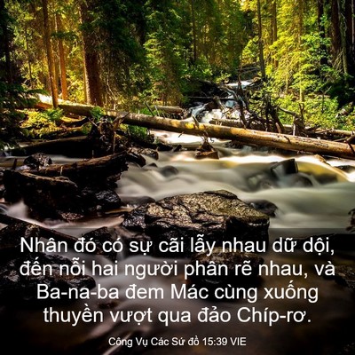 Picture 03 - Công Vụ Các Sứ đồ 15:39 VIE - Nhân đó có sự cãi lẫy nhau dữ dội, - Bible Verse Picture