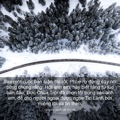 Picture 03 - Công Vụ Các Sứ đồ 15:7 VIE - Sau một cuộc bàn luận dài rồi, - Bible Verse Picture