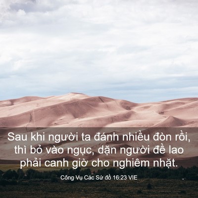 Picture 03 - Công Vụ Các Sứ đồ 16:23 VIE - Sau khi người ta đánh nhiều đòn rồi, - Bible Verse Picture