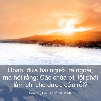Picture 03 - Công Vụ Các Sứ đồ 16:30 VIE - Đoạn, đưa hai người ra ngoài, mà hỏi - Bible Verse Picture
