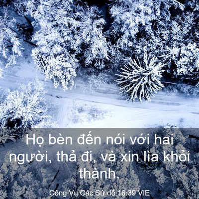 Picture 03 - Công Vụ Các Sứ đồ 16:39 VIE - Họ bèn đến nói với hai người, thả - Bible Verse Picture