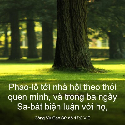 Picture 03 - Công Vụ Các Sứ đồ 17:2 VIE - Phao-lô tới nhà hội theo thói quen mình, - Bible Verse Picture