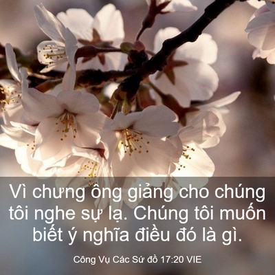 Picture 03 - Công Vụ Các Sứ đồ 17:20 VIE - Vì chưng ông giảng cho chúng tôi nghe sự - Bible Verse Picture