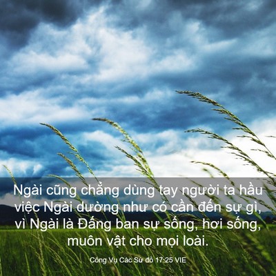 Picture 03 - Công Vụ Các Sứ đồ 17:25 VIE - Ngài cũng chẳng dùng tay người ta hầu - Bible Verse Picture