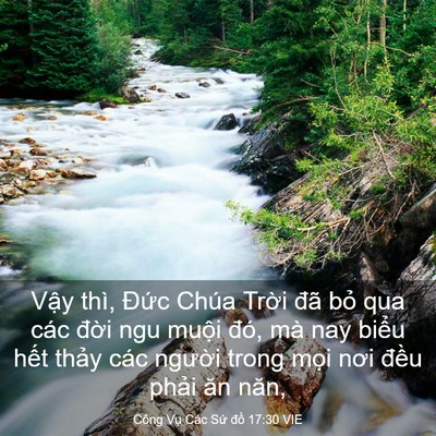 Picture 03 - Công Vụ Các Sứ đồ 17:30 VIE - Vậy thì, Đức Chúa Trời đã bỏ qua - Bible Verse Picture