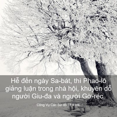 Picture 03 - Công Vụ Các Sứ đồ 18:4 VIE - Hễ đến ngày Sa-bát, thì Phao-lô giảng - Bible Verse Picture