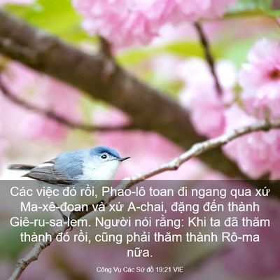 Picture 03 - Công Vụ Các Sứ đồ 19:21 VIE - Các việc đó rồi, Phao-lô toan đi ngang - Bible Verse Picture