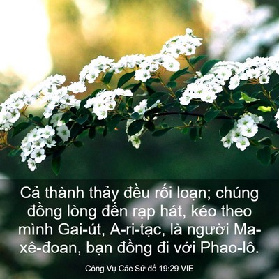 Picture 03 - Công Vụ Các Sứ đồ 19:29 VIE - Cả thành thảy đều rối loạn; chúng - Bible Verse Picture