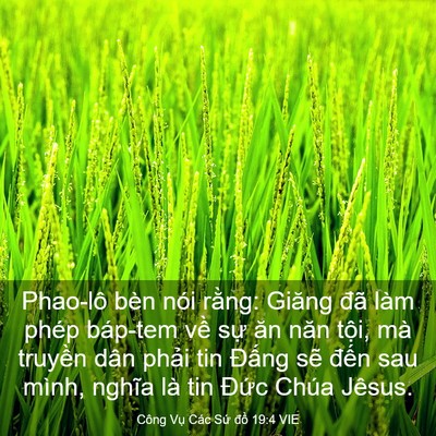 Picture 03 - Công Vụ Các Sứ đồ 19:4 VIE - Phao-lô bèn nói rằng: Giăng đã làm phép - Bible Verse Picture