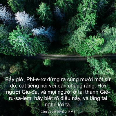 Picture 03 - Công Vụ Các Sứ đồ 2:14 VIE - Bấy giờ, Phi-e-rơ đứng ra cùng mười - Bible Verse Picture