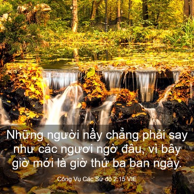 Picture 03 - Công Vụ Các Sứ đồ 2:15 VIE - Những người nầy chẳng phải say như - Bible Verse Picture