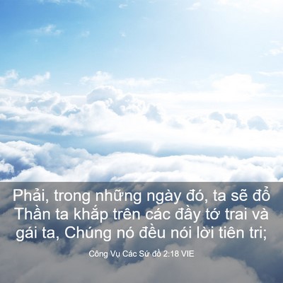 Picture 03 - Công Vụ Các Sứ đồ 2:18 VIE - Phải, trong những ngày đó, ta sẽ đổ - Bible Verse Picture