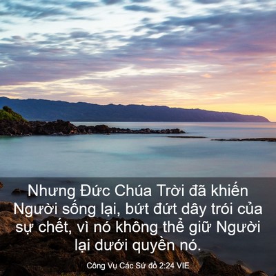 Picture 03 - Công Vụ Các Sứ đồ 2:24 VIE - Nhưng Đức Chúa Trời đã khiến Người - Bible Verse Picture