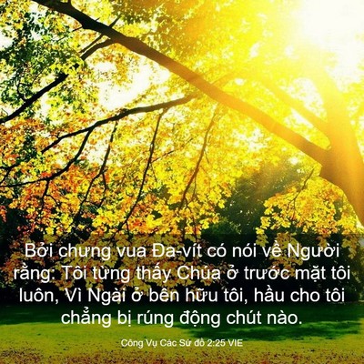 Picture 03 - Công Vụ Các Sứ đồ 2:25 VIE - Bởi chưng vua Đa-vít có nói về Người - Bible Verse Picture