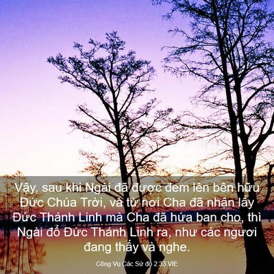 Picture 03 - Công Vụ Các Sứ đồ 2:33 VIE - Vậy, sau khi Ngài đã được đem lên bên - Bible Verse Picture