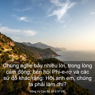 Picture 03 - Công Vụ Các Sứ đồ 2:37 VIE - Chúng nghe bấy nhiêu lời, trong lòng cảm - Bible Verse Picture