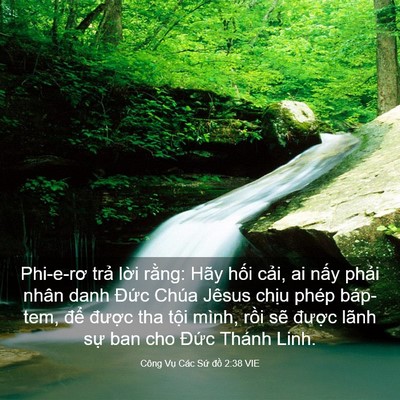 Picture 03 - Công Vụ Các Sứ đồ 2:38 VIE - Phi-e-rơ trả lời rằng: Hãy hối cải, - Bible Verse Picture