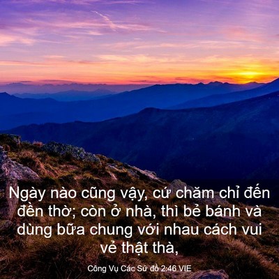 Picture 03 - Công Vụ Các Sứ đồ 2:46 VIE - Ngày nào cũng vậy, cứ chăm chỉ đến - Bible Verse Picture