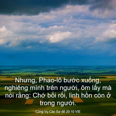 Picture 03 - Công Vụ Các Sứ đồ 20:10 VIE - Nhưng, Phao-lô bước xuống, nghiêng mình - Bible Verse Picture