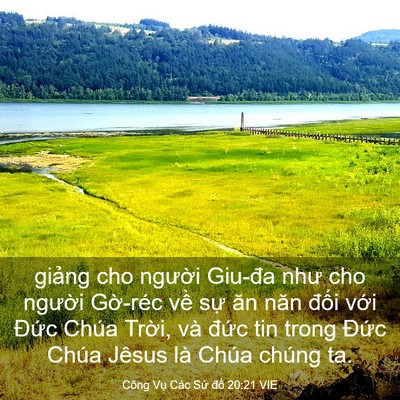 Picture 03 - Công Vụ Các Sứ đồ 20:21 VIE - giảng cho người Giu-đa như cho người - Bible Verse Picture