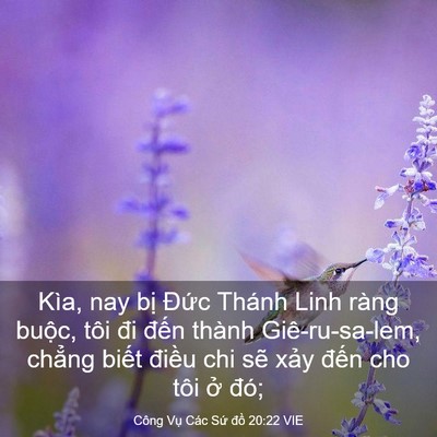 Picture 03 - Công Vụ Các Sứ đồ 20:22 VIE - Kìa, nay bị Đức Thánh Linh ràng buộc, - Bible Verse Picture