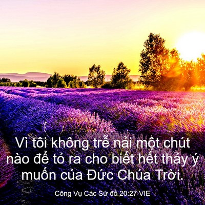Picture 03 - Công Vụ Các Sứ đồ 20:27 VIE - Vì tôi không trễ nải một chút nào - Bible Verse Picture
