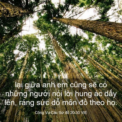 Picture 03 - Công Vụ Các Sứ đồ 20:30 VIE - lại giữa anh em cũng sẽ có những - Bible Verse Picture