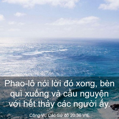 Picture 03 - Công Vụ Các Sứ đồ 20:36 VIE - Phao-lô nói lời đó xong, bèn quì xuống - Bible Verse Picture