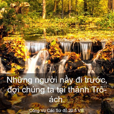 Picture 03 - Công Vụ Các Sứ đồ 20:5 VIE - Những người nầy đi trước, đợi - Bible Verse Picture