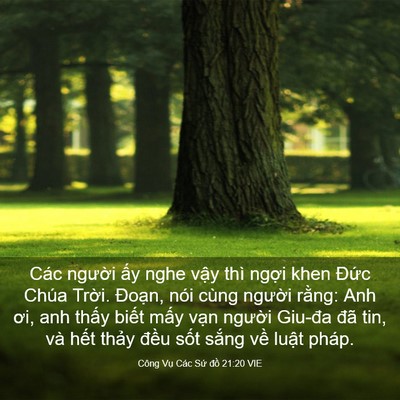Picture 03 - Công Vụ Các Sứ đồ 21:20 VIE - Các người ấy nghe vậy thì ngợi khen - Bible Verse Picture