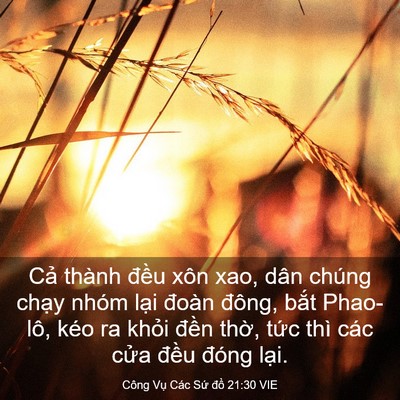 Picture 03 - Công Vụ Các Sứ đồ 21:30 VIE - Cả thành đều xôn xao, dân chúng chạy - Bible Verse Picture