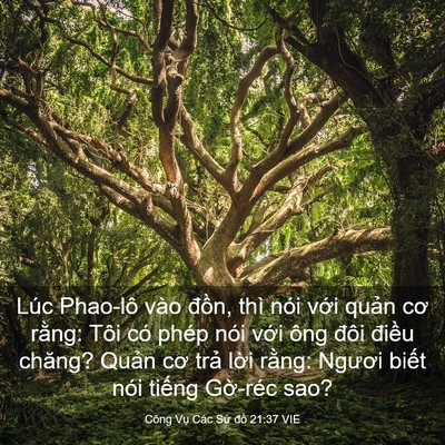 Picture 03 - Công Vụ Các Sứ đồ 21:37 VIE - Lúc Phao-lô vào đồn, thì nói với quản - Bible Verse Picture