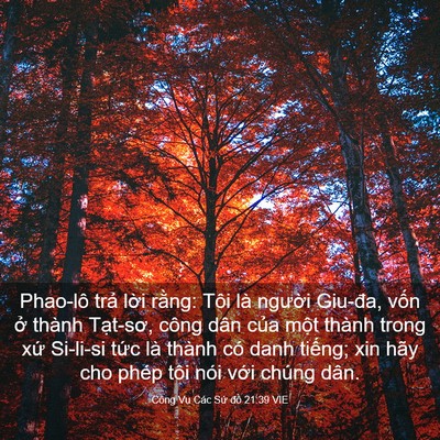 Picture 03 - Công Vụ Các Sứ đồ 21:39 VIE - Phao-lô trả lời rằng: Tôi là người - Bible Verse Picture