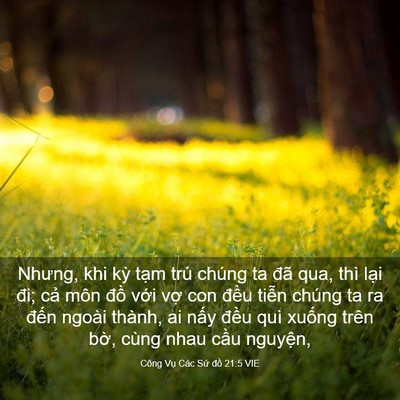 Picture 03 - Công Vụ Các Sứ đồ 21:5 VIE - Nhưng, khi kỳ tạm trú chúng ta đã qua, - Bible Verse Picture