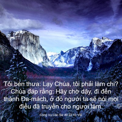 Picture 03 - Công Vụ Các Sứ đồ 22:10 VIE - Tôi bèn thưa: Lạy Chúa, tôi phải làm - Bible Verse Picture