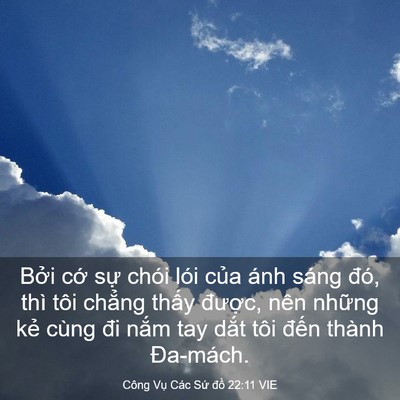 Picture 03 - Công Vụ Các Sứ đồ 22:11 VIE - Bởi cớ sự chói lói của ánh sáng đó, - Bible Verse Picture