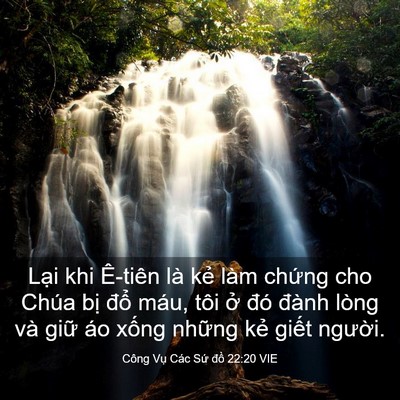 Picture 03 - Công Vụ Các Sứ đồ 22:20 VIE - Lại khi Ê-tiên là kẻ làm chứng cho - Bible Verse Picture