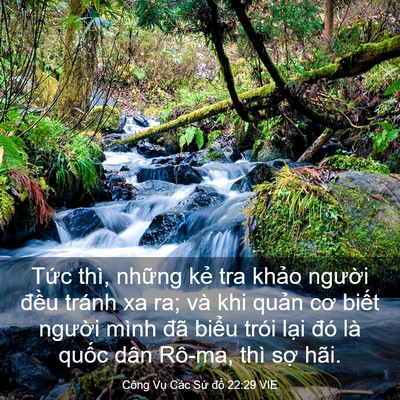Picture 03 - Công Vụ Các Sứ đồ 22:29 VIE - Tức thì, những kẻ tra khảo người - Bible Verse Picture