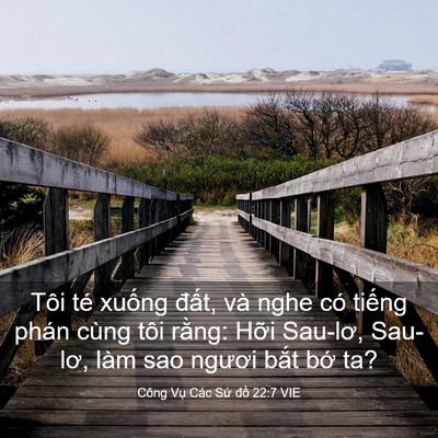 Picture 03 - Công Vụ Các Sứ đồ 22:7 VIE - Tôi té xuống đất, và nghe có tiếng - Bible Verse Picture